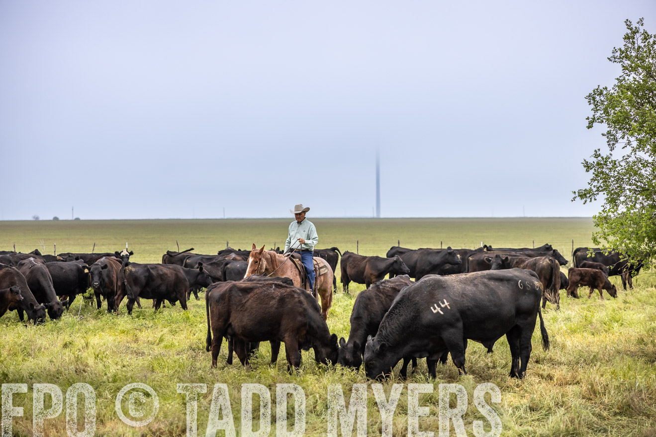 TMyers_PP_CircleBarRanch_TruscottTX_April2024-511114
