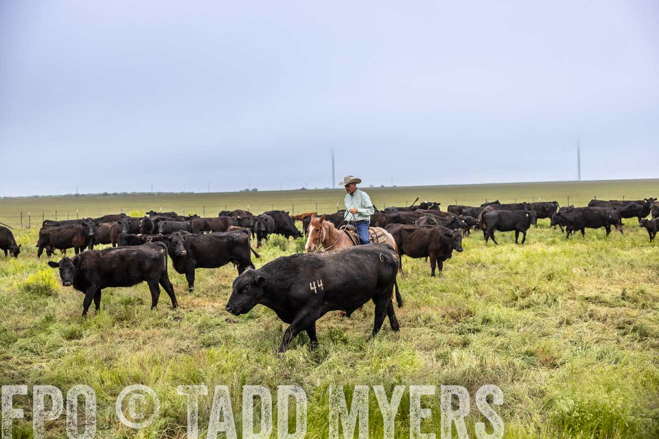 TMyers_PP_CircleBarRanch_TruscottTX_April2024-511152