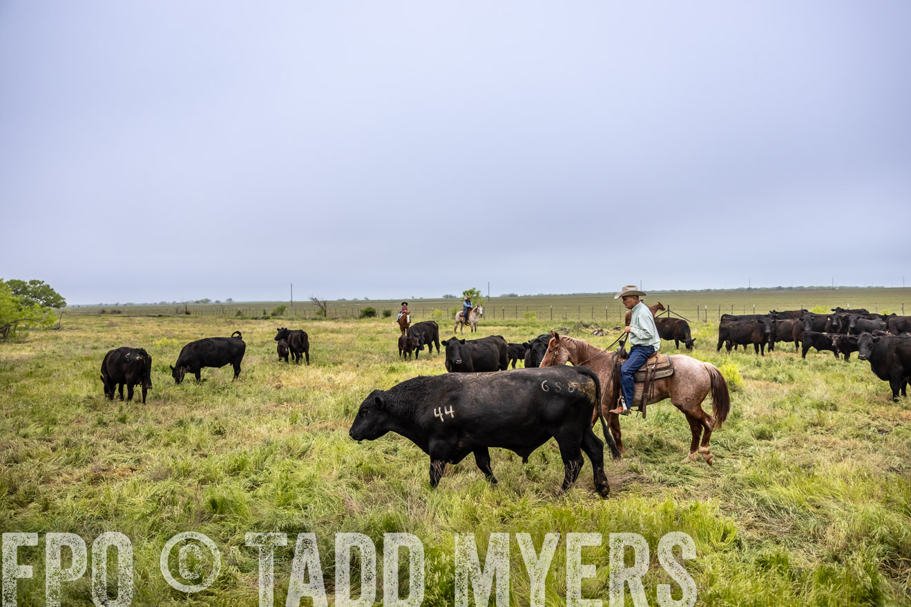 TMyers_PP_CircleBarRanch_TruscottTX_April2024-511174