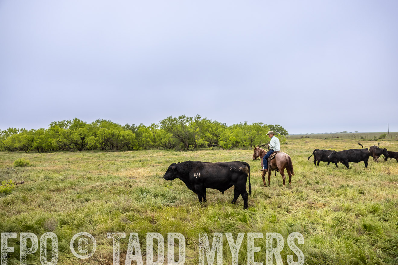 TMyers_PP_CircleBarRanch_TruscottTX_April2024-511200