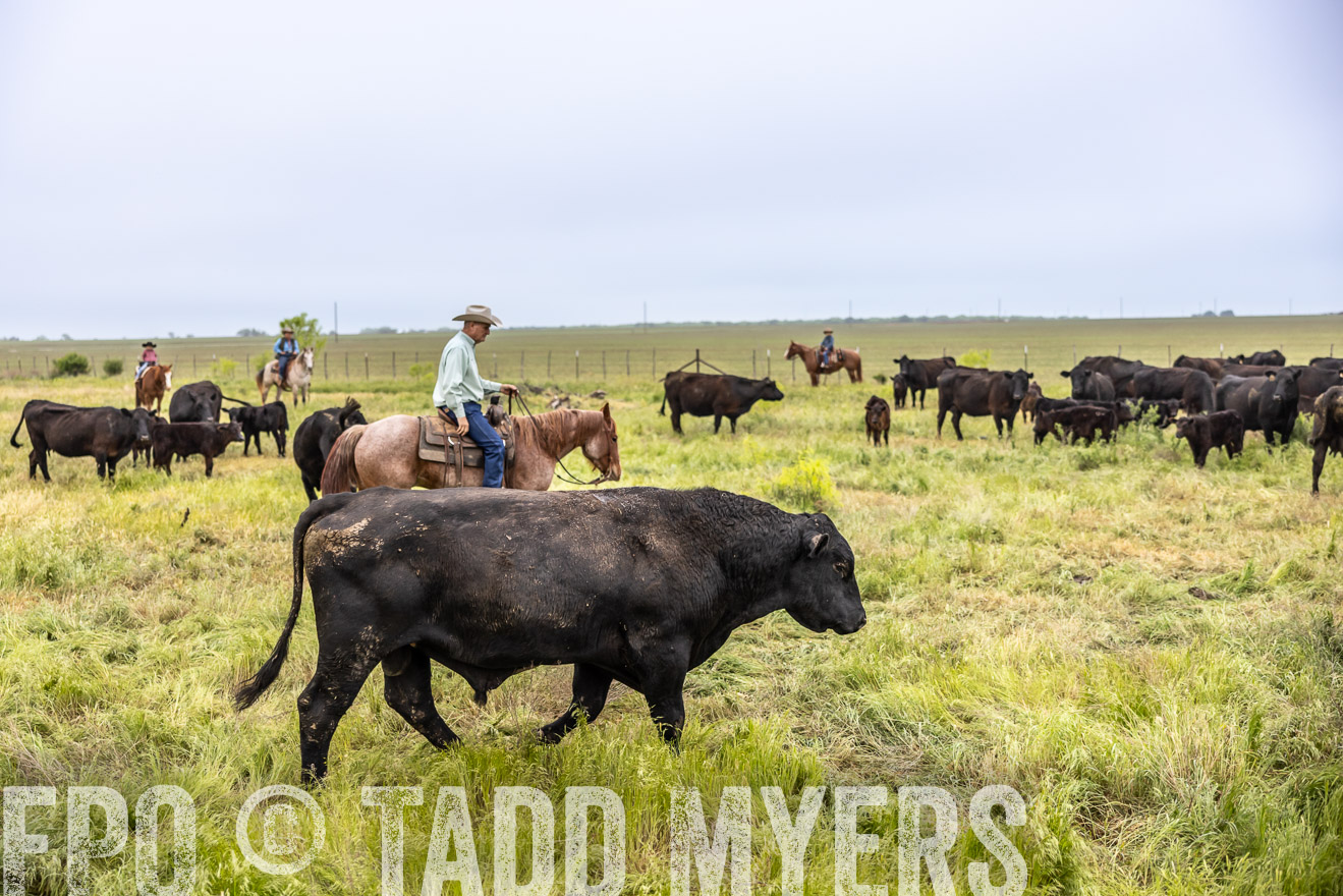 TMyers_PP_CircleBarRanch_TruscottTX_April2024-511249