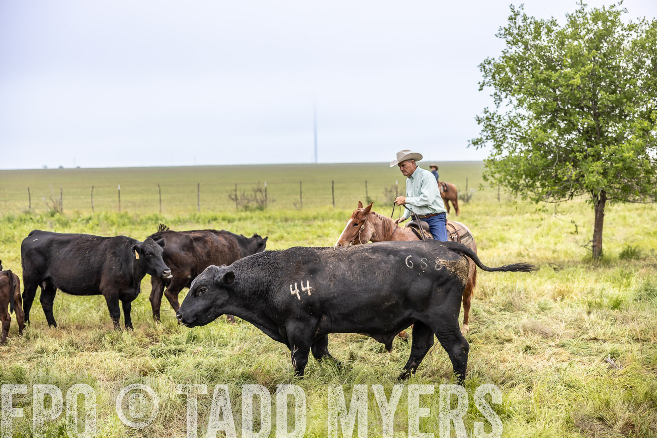 TMyers_PP_CircleBarRanch_TruscottTX_April2024-511279