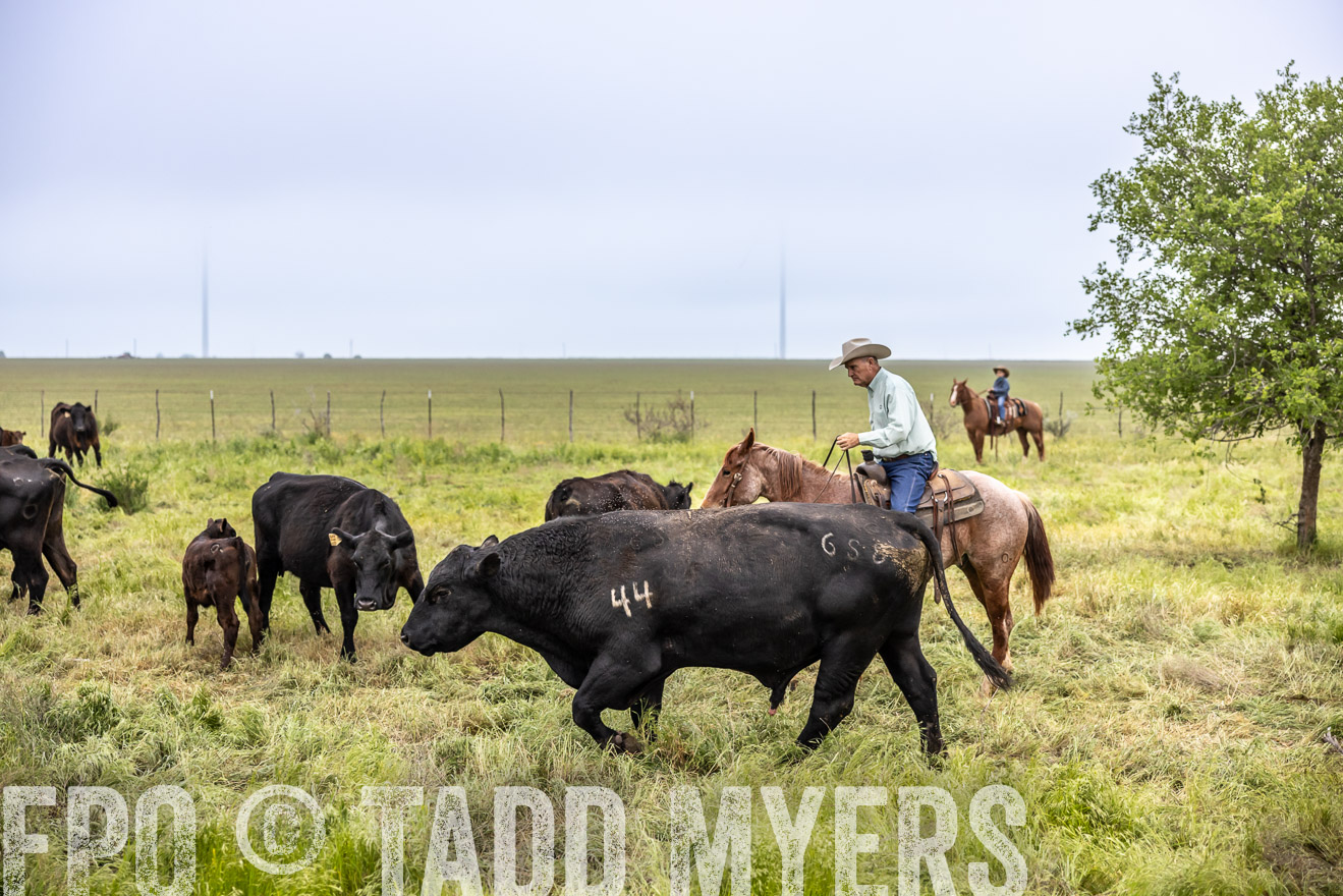 TMyers_PP_CircleBarRanch_TruscottTX_April2024-511283