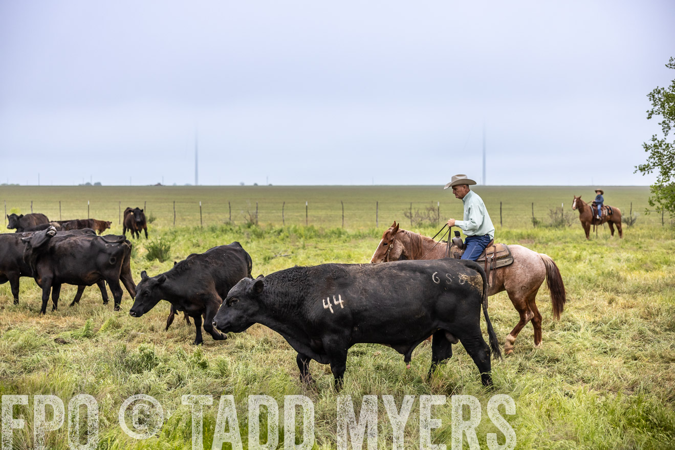 TMyers_PP_CircleBarRanch_TruscottTX_April2024-511289