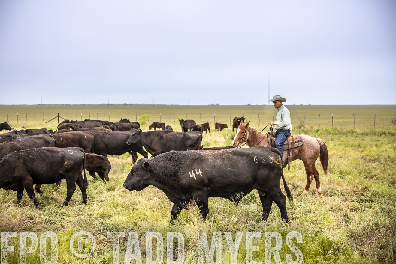 TMyers_PP_CircleBarRanch_TruscottTX_April2024-511307