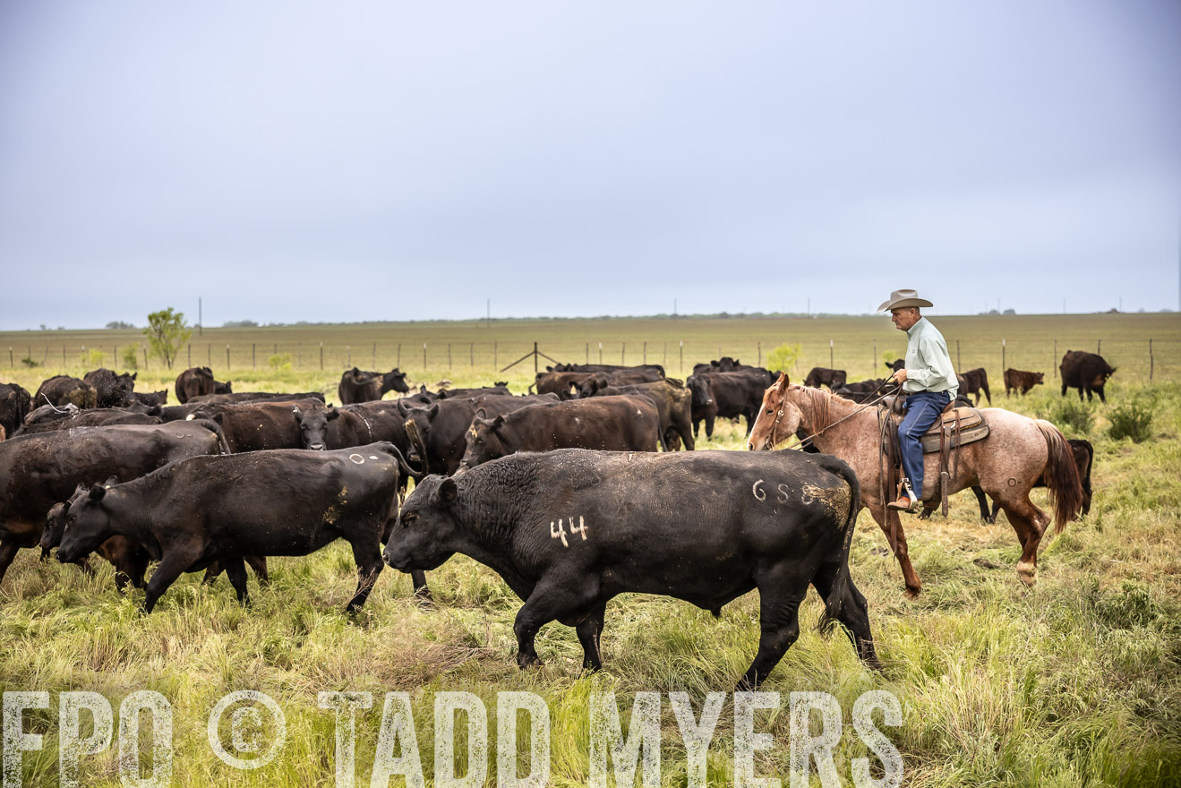TMyers_PP_CircleBarRanch_TruscottTX_April2024-511317