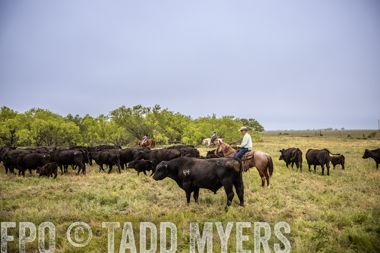 TMyers_PP_CircleBarRanch_TruscottTX_April2024-511400