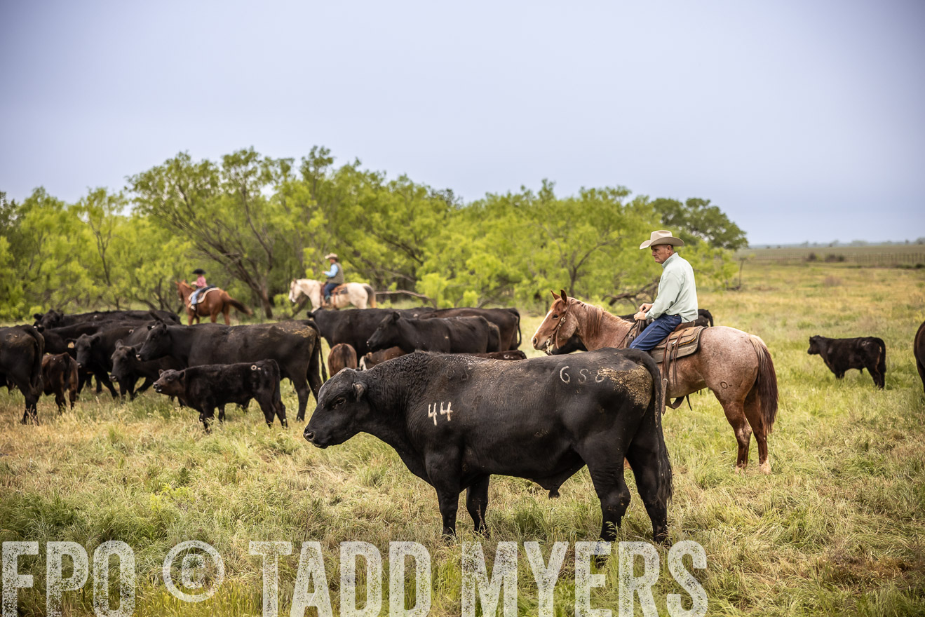 TMyers_PP_CircleBarRanch_TruscottTX_April2024-511406