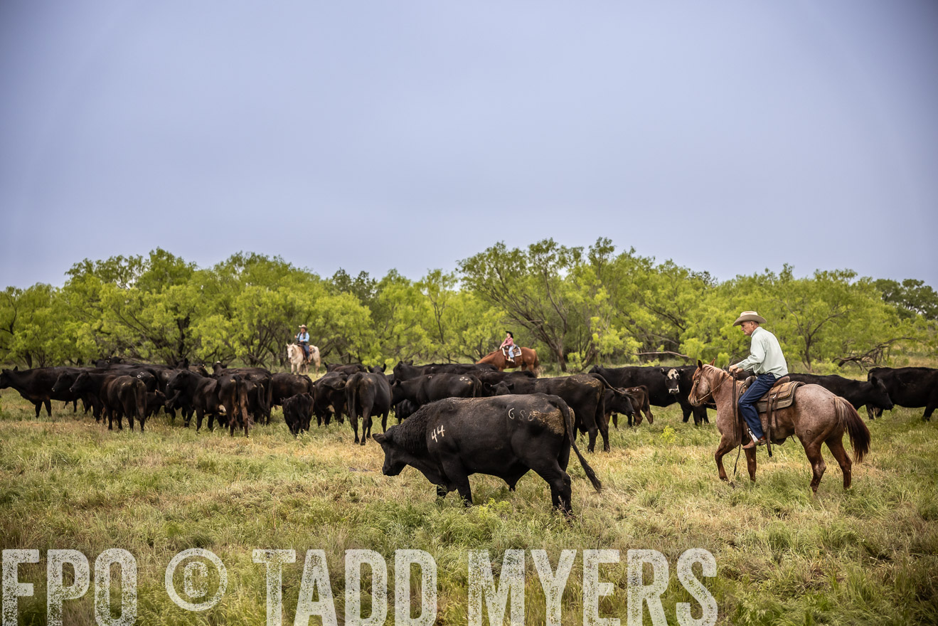 TMyers_PP_CircleBarRanch_TruscottTX_April2024-511436