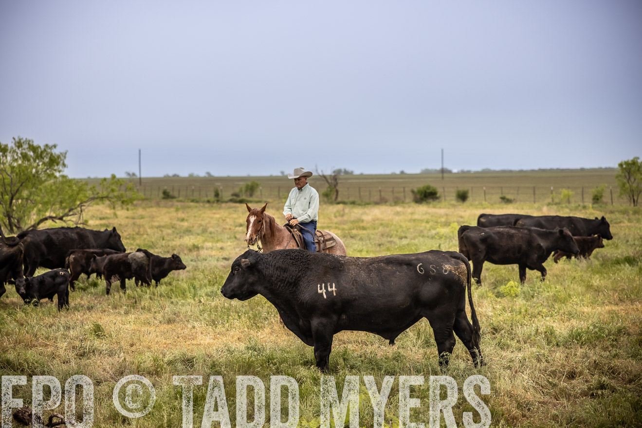 TMyers_PP_CircleBarRanch_TruscottTX_April2024-511452