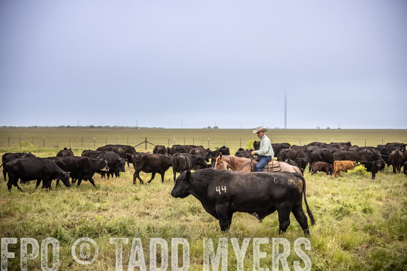 TMyers_PP_CircleBarRanch_TruscottTX_April2024-511561