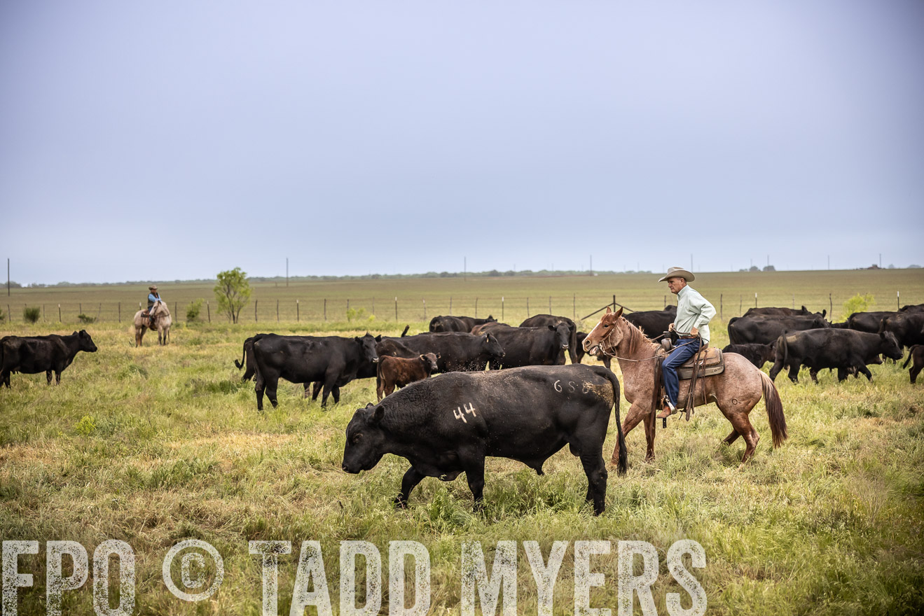 TMyers_PP_CircleBarRanch_TruscottTX_April2024-511609
