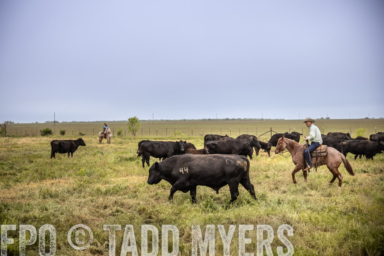 TMyers_PP_CircleBarRanch_TruscottTX_April2024-511615