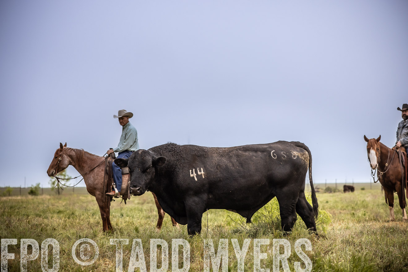 TMyers_PP_CircleBarRanch_TruscottTX_April2024-511721
