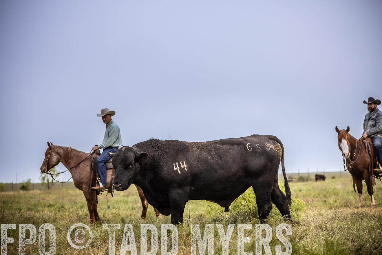 TMyers_PP_CircleBarRanch_TruscottTX_April2024-511724