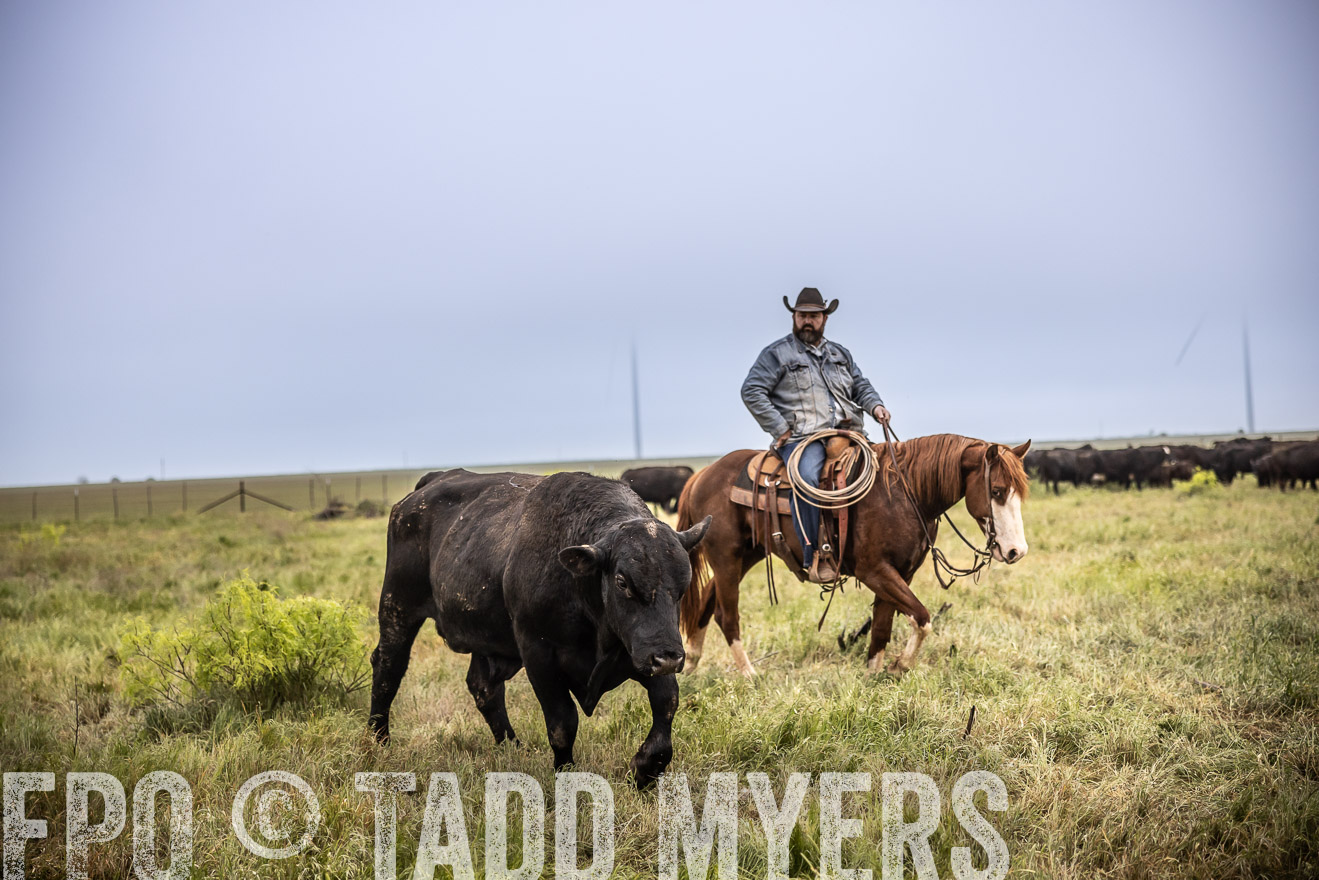 TMyers_PP_CircleBarRanch_TruscottTX_April2024-511731