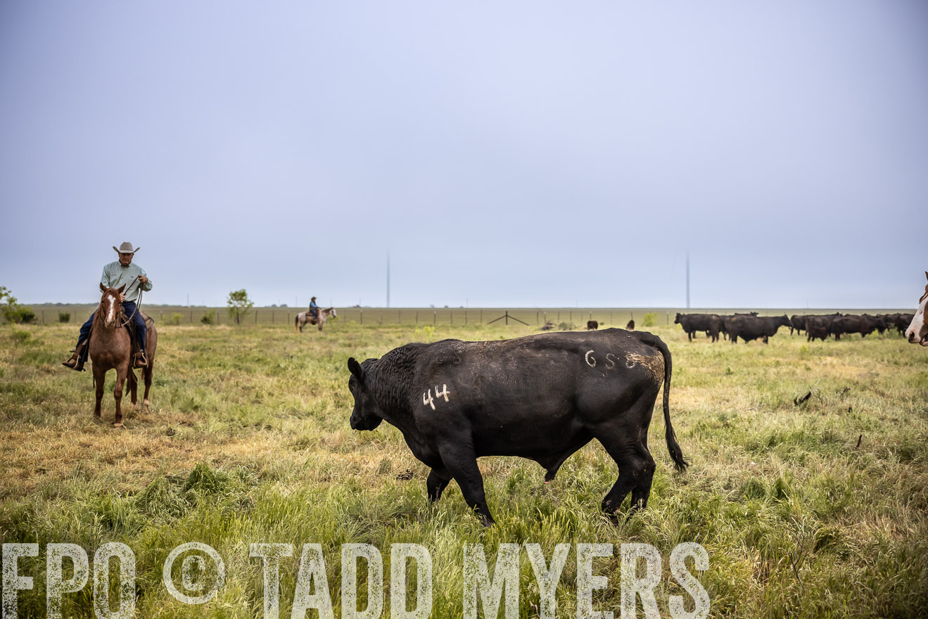 TMyers_PP_CircleBarRanch_TruscottTX_April2024-511747