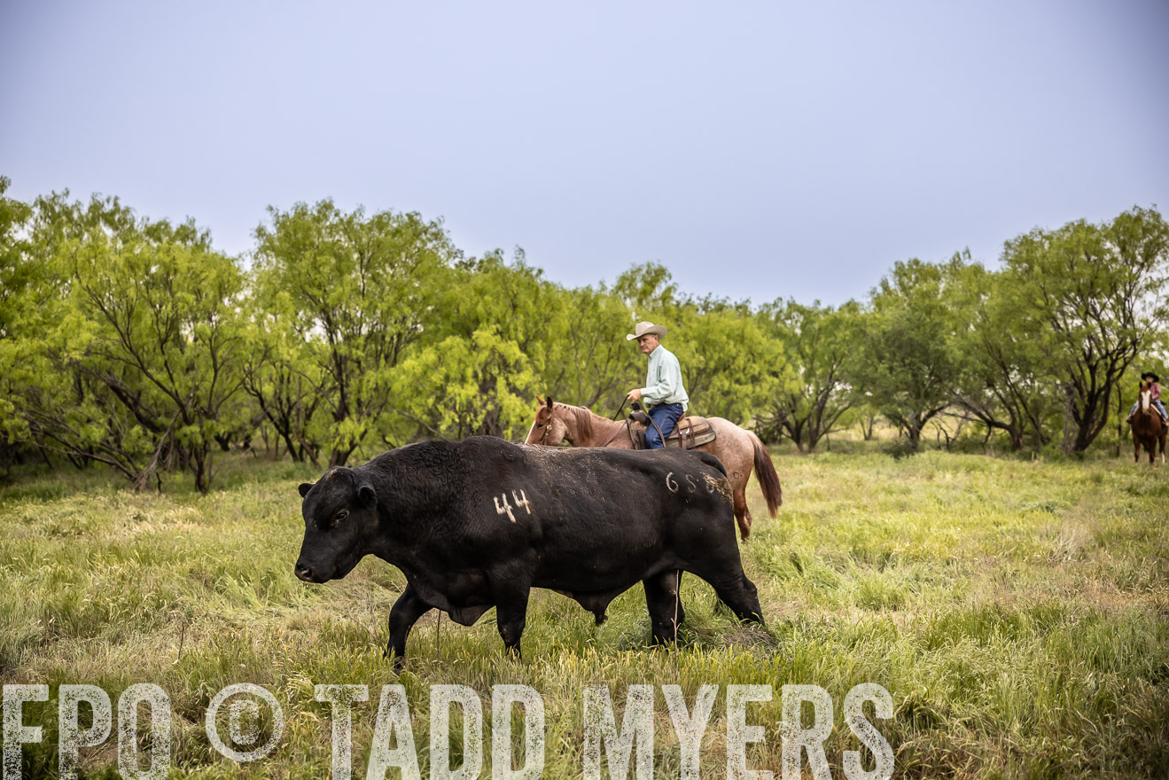 TMyers_PP_CircleBarRanch_TruscottTX_April2024-511817