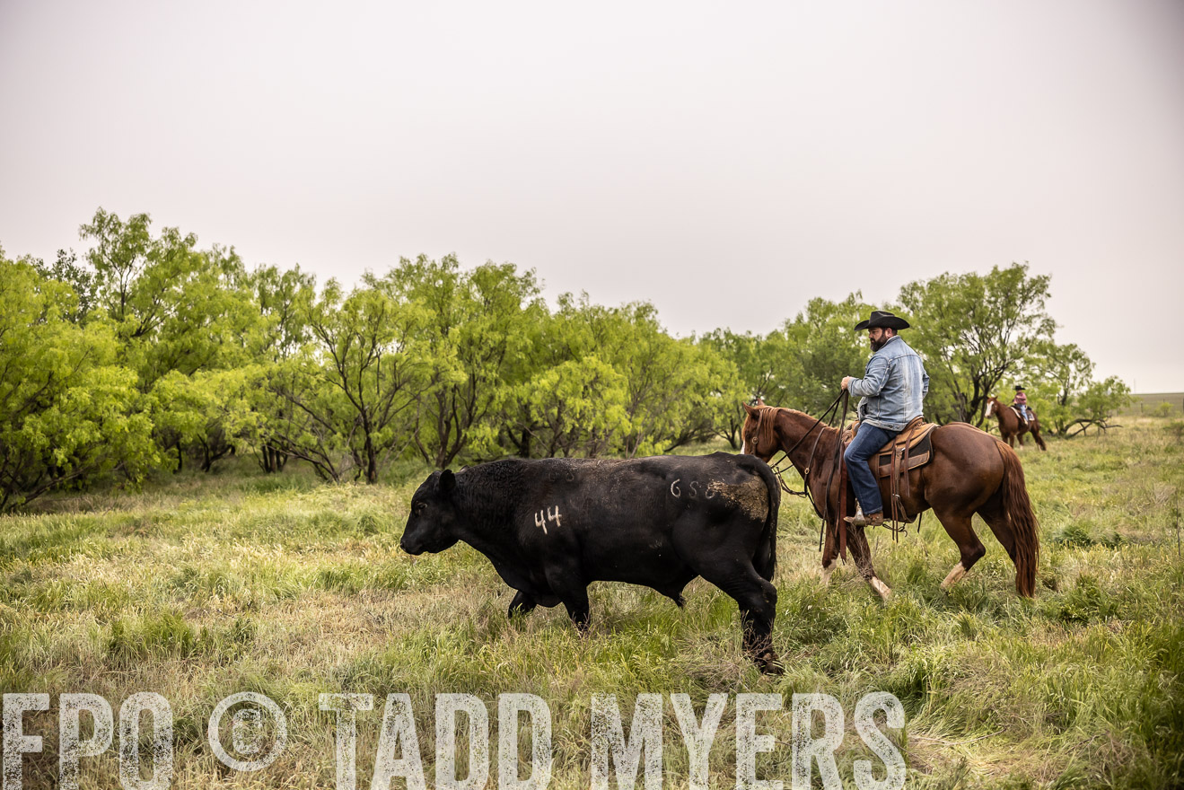 TMyers_PP_CircleBarRanch_TruscottTX_April2024-511859