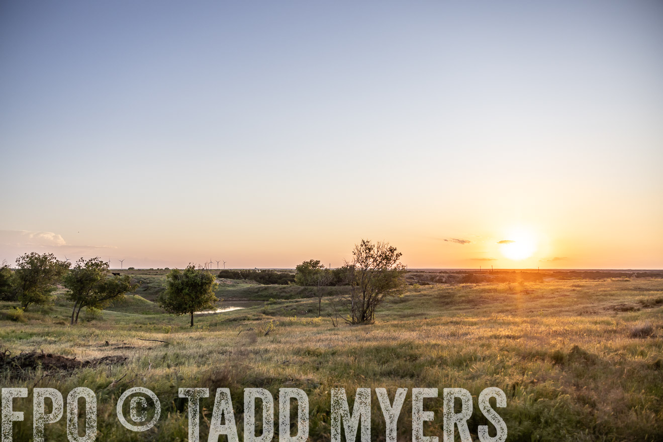 TMyers_PP_CircleBarRanch_TruscottTX_April2024-519691