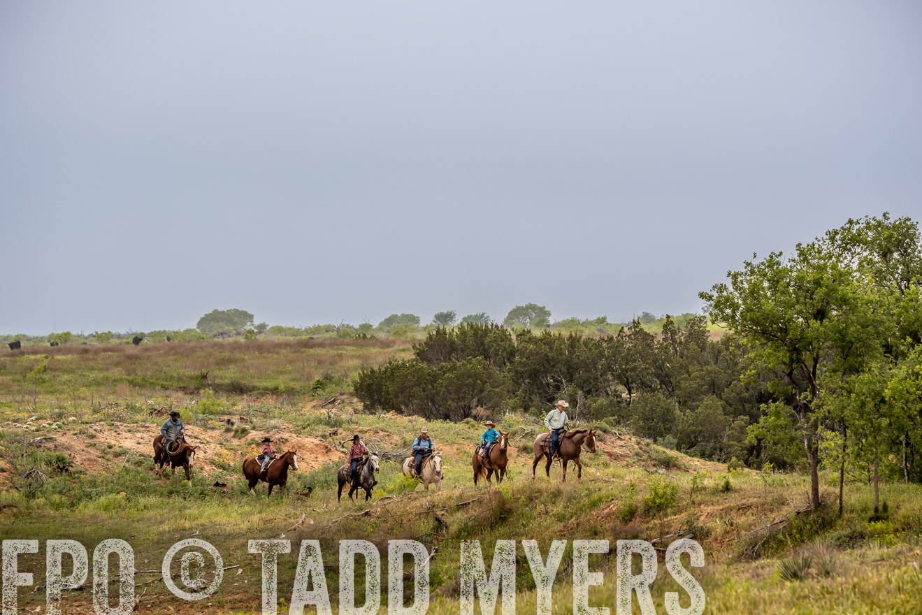 TMyers_PP_CircleBarRanch_TruscottTX_April2024-523294