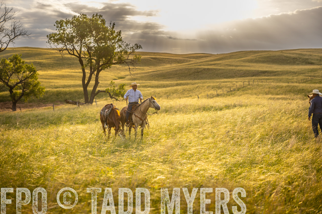 TMyers_PP_FinneyRanch_Nebraska_June2024-510210