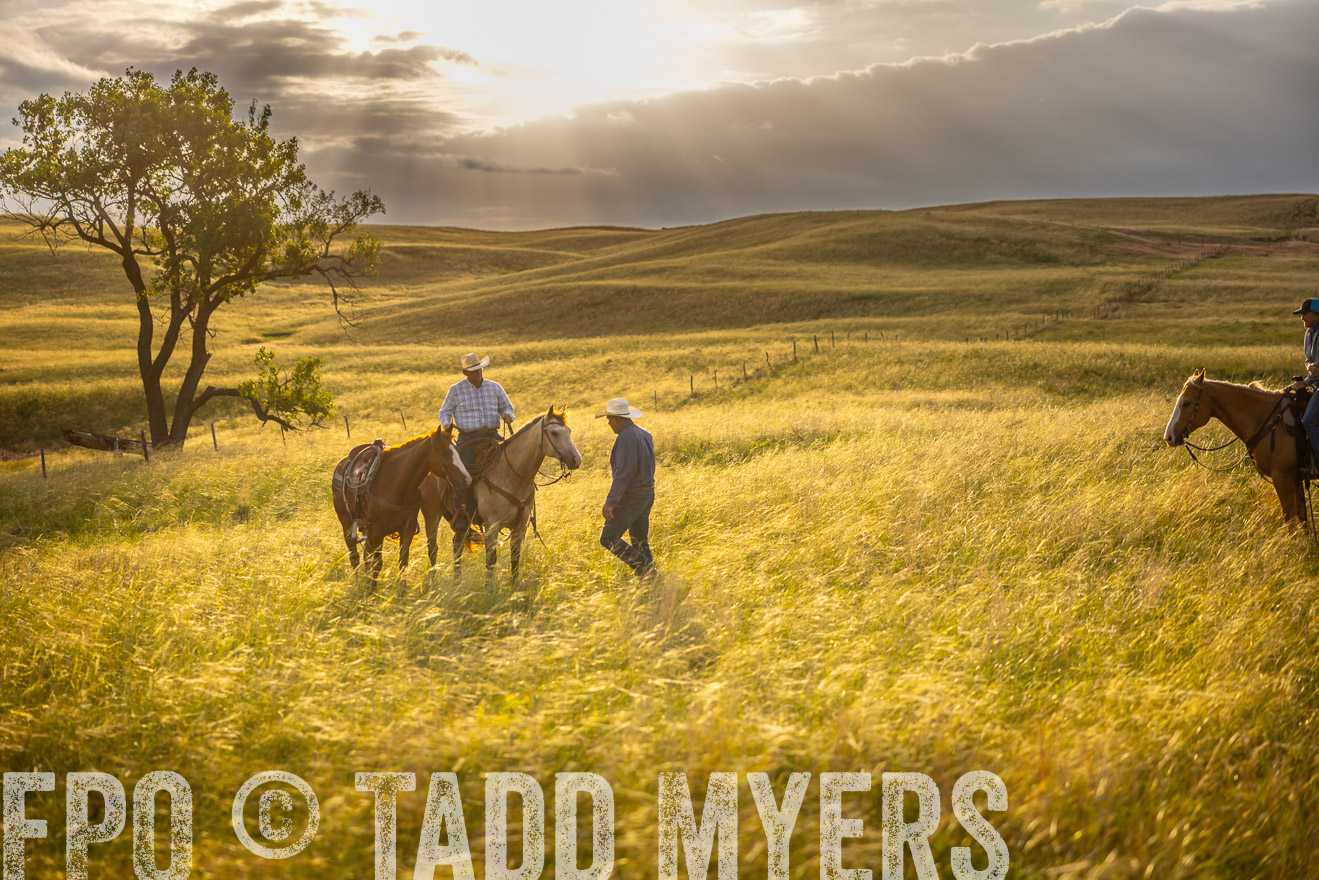 TMyers_PP_FinneyRanch_Nebraska_June2024-510216