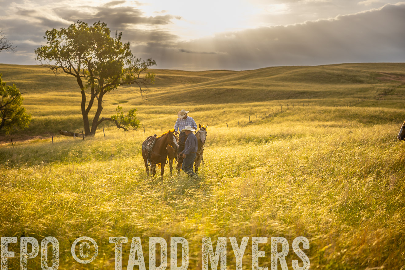 TMyers_PP_FinneyRanch_Nebraska_June2024-510218