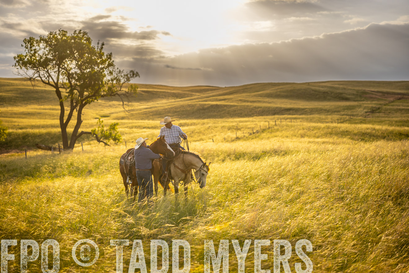 TMyers_PP_FinneyRanch_Nebraska_June2024-510221
