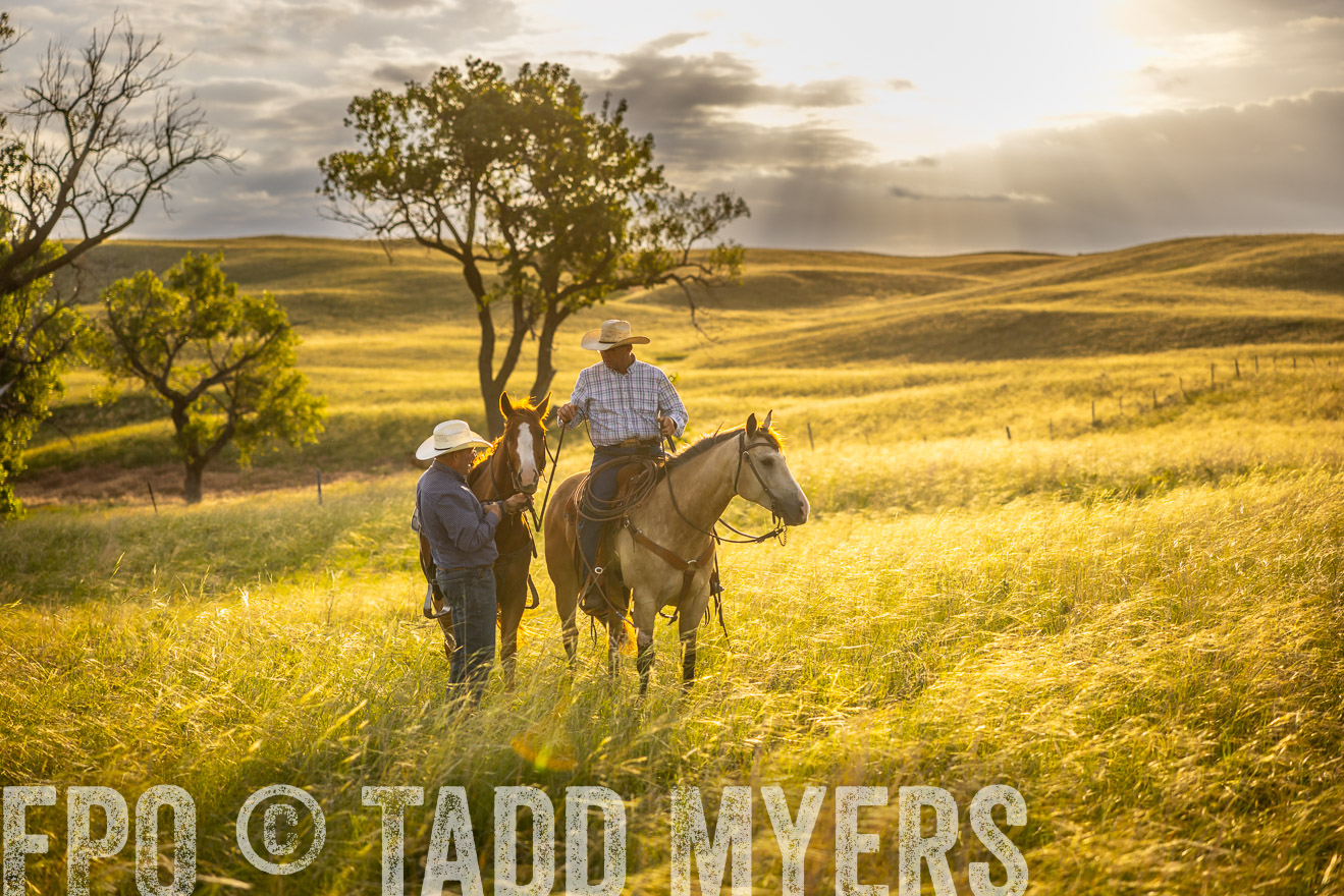 TMyers_PP_FinneyRanch_Nebraska_June2024-510231