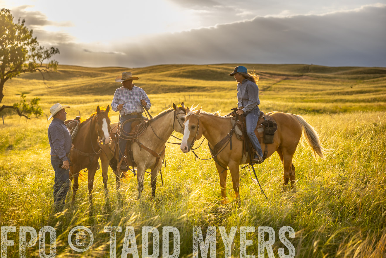TMyers_PP_FinneyRanch_Nebraska_June2024-510243