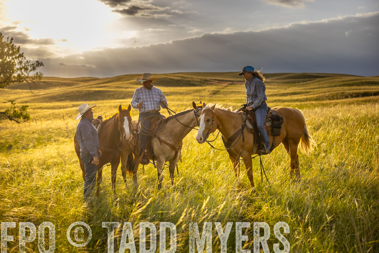 TMyers_PP_FinneyRanch_Nebraska_June2024-510248