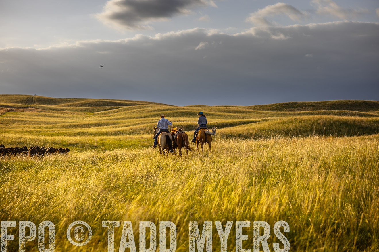 TMyers_PP_FinneyRanch_Nebraska_June2024-510310