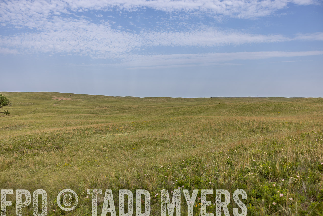 TMyers_PP_FinneyRanch_Nebraska_June2024-517018