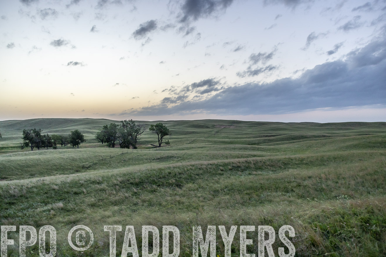 TMyers_PP_FinneyRanch_Nebraska_June2024-517030