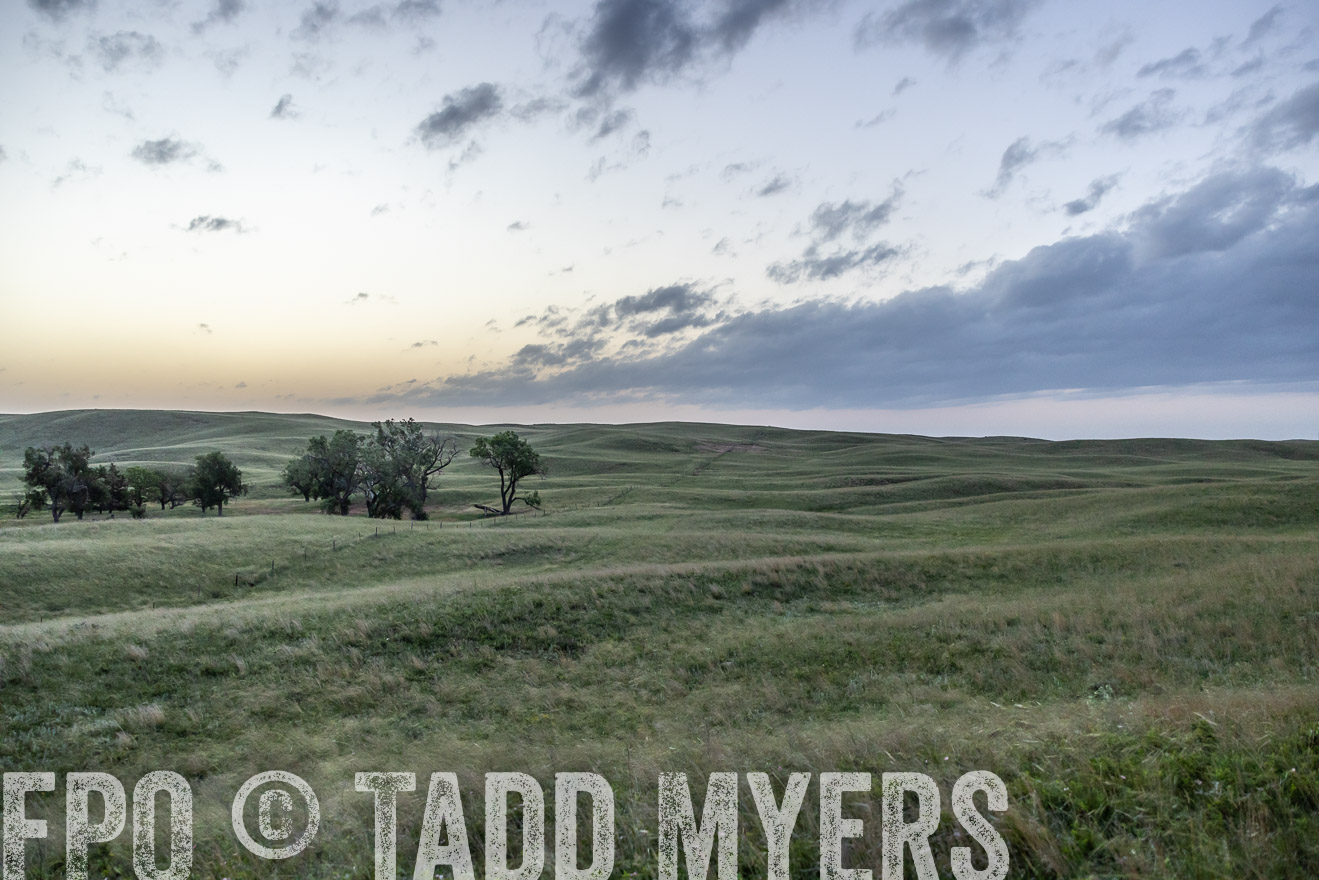 TMyers_PP_FinneyRanch_Nebraska_June2024-517032