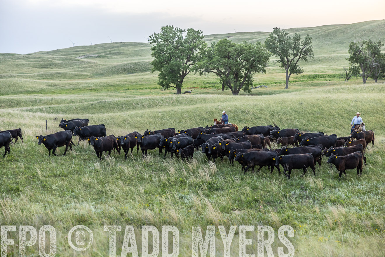 TMyers_PP_FinneyRanch_Nebraska_June2024-517084