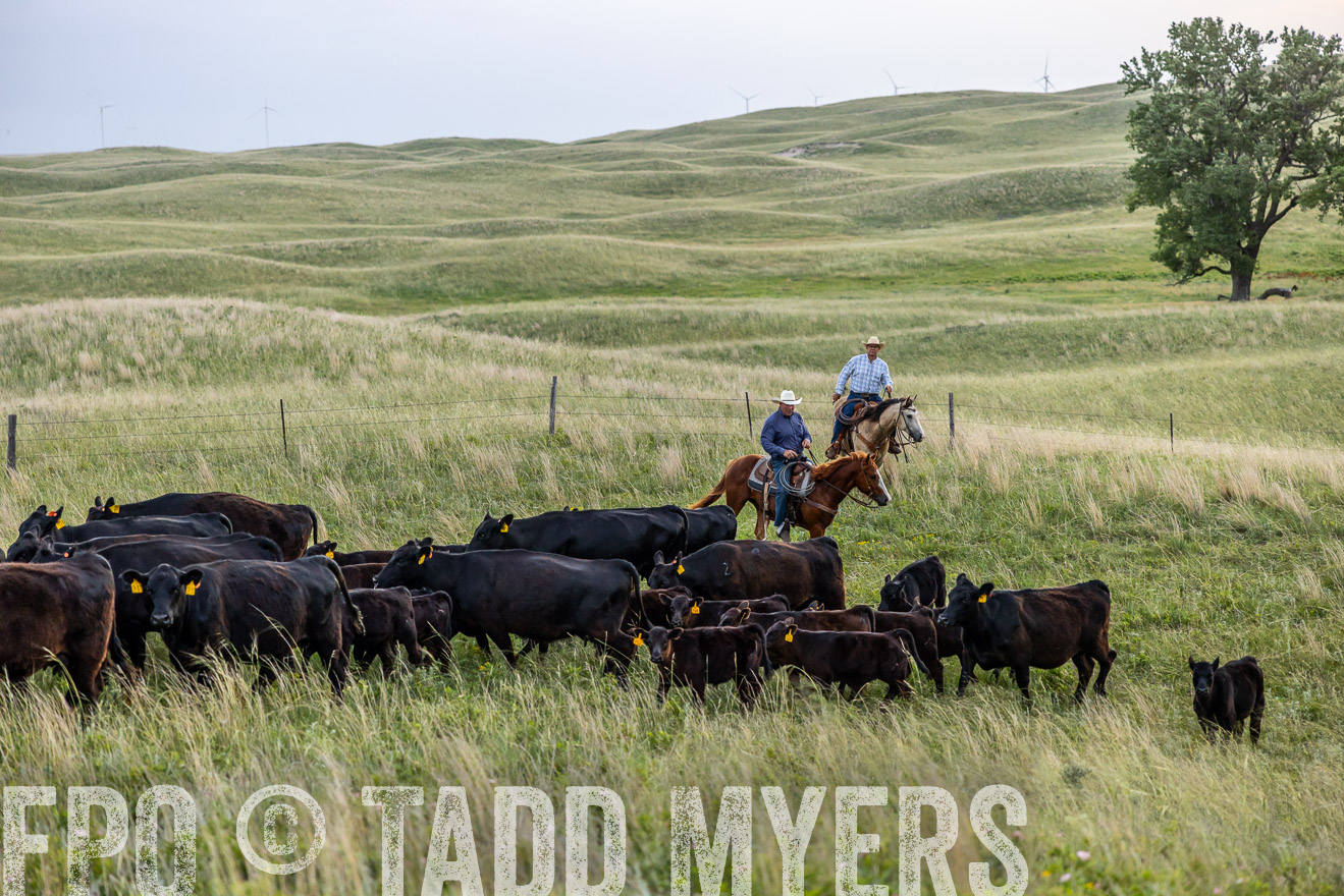 TMyers_PP_FinneyRanch_Nebraska_June2024-517102