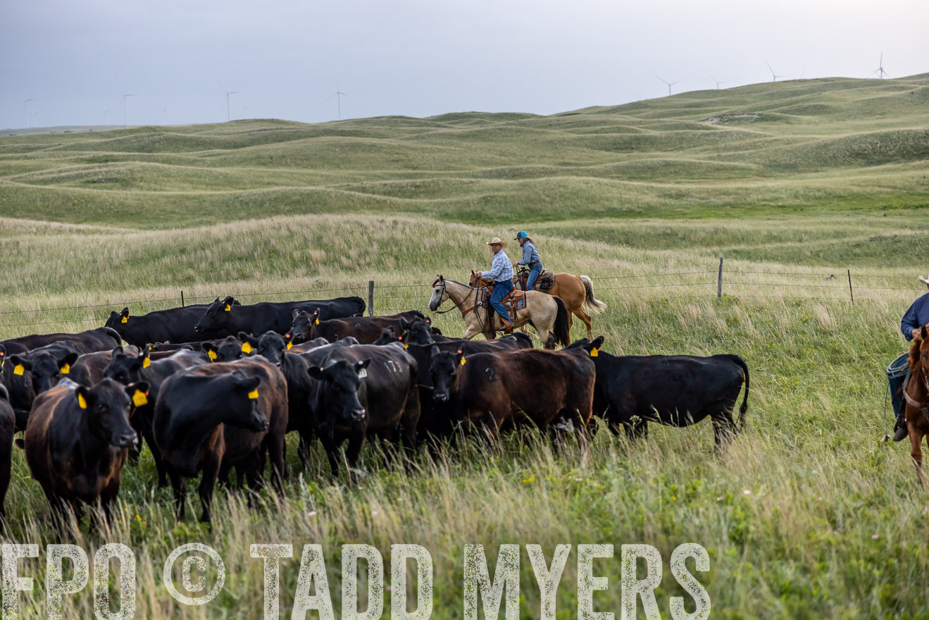 TMyers_PP_FinneyRanch_Nebraska_June2024-517106