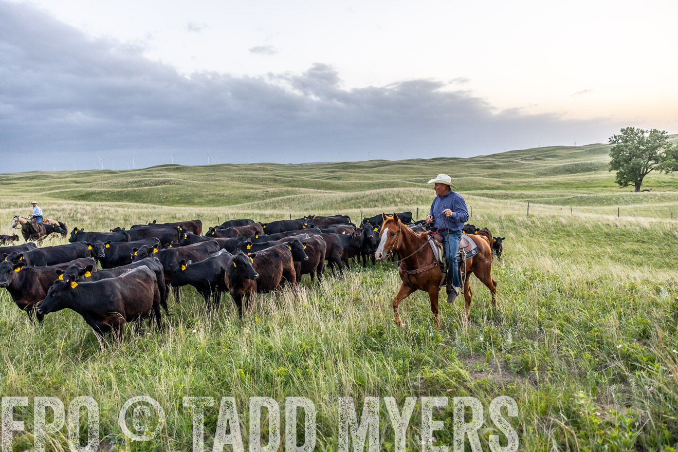 TMyers_PP_FinneyRanch_Nebraska_June2024-517128