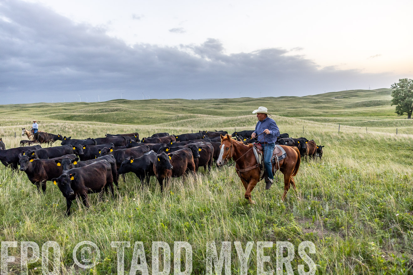 TMyers_PP_FinneyRanch_Nebraska_June2024-517131