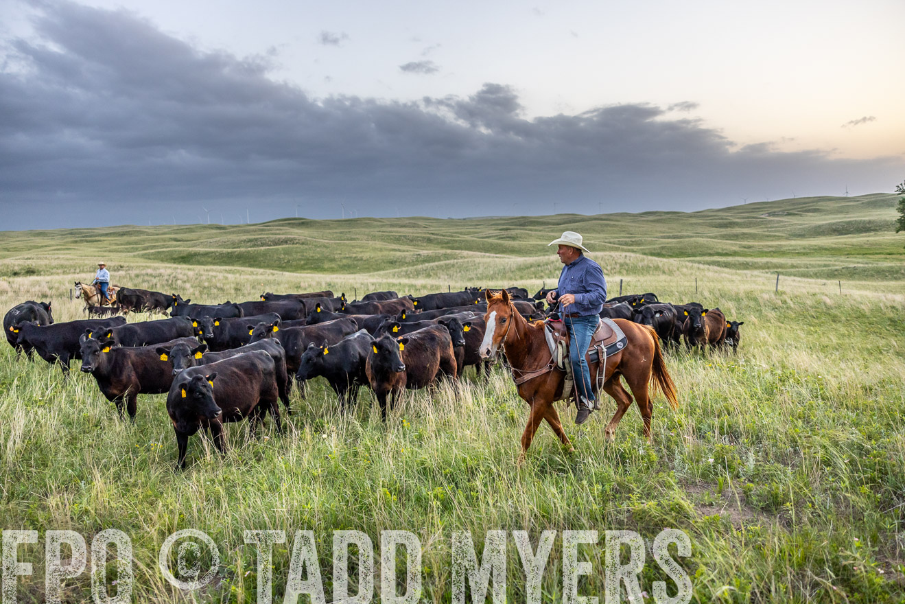 TMyers_PP_FinneyRanch_Nebraska_June2024-517135