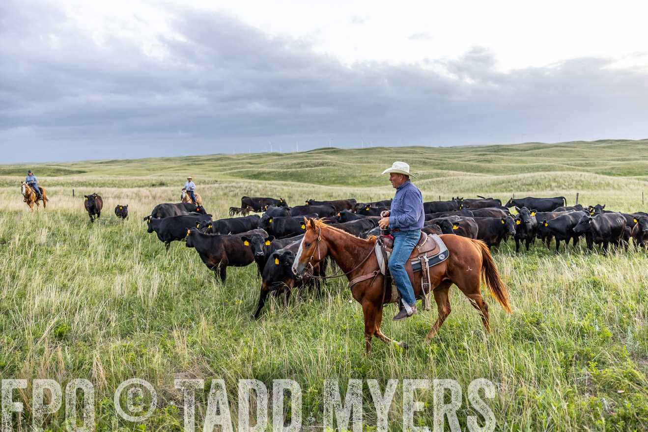 TMyers_PP_FinneyRanch_Nebraska_June2024-517139