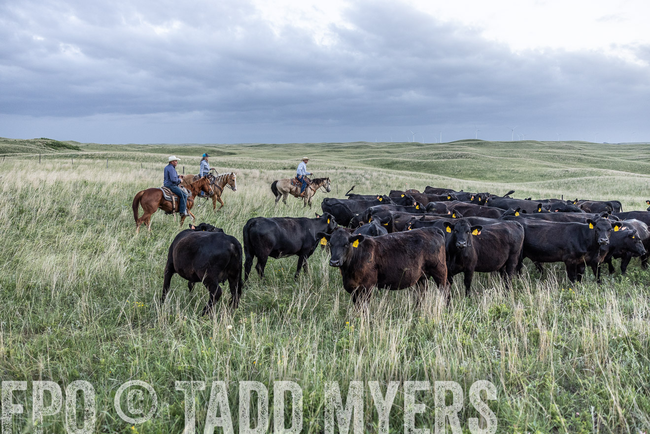 TMyers_PP_FinneyRanch_Nebraska_June2024-517163