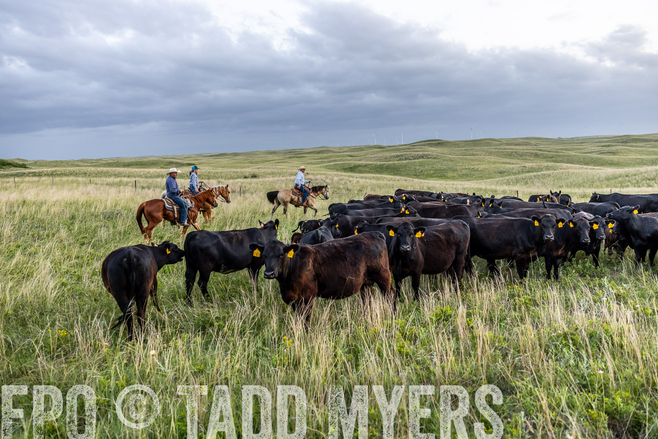 TMyers_PP_FinneyRanch_Nebraska_June2024-517168