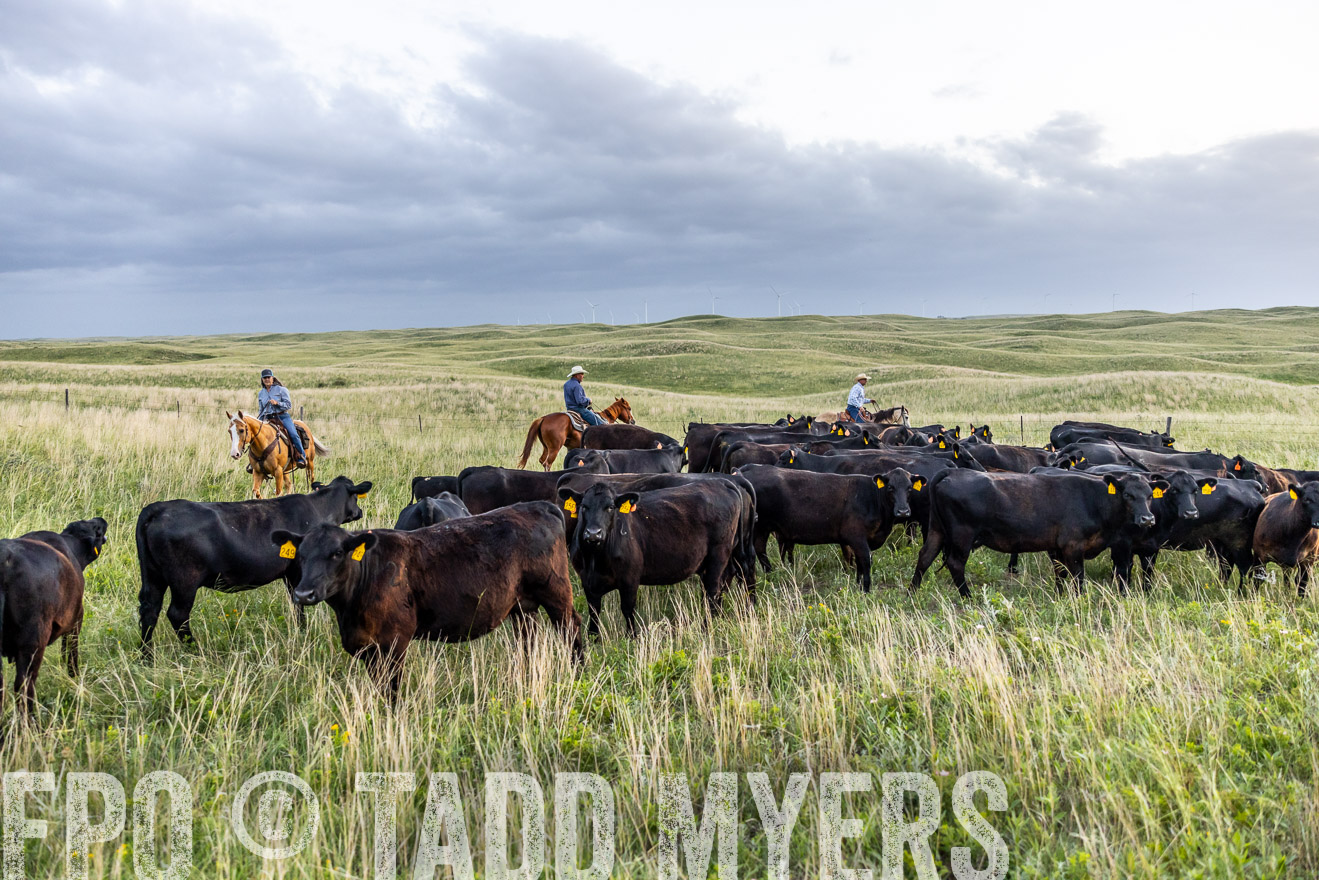 TMyers_PP_FinneyRanch_Nebraska_June2024-517192