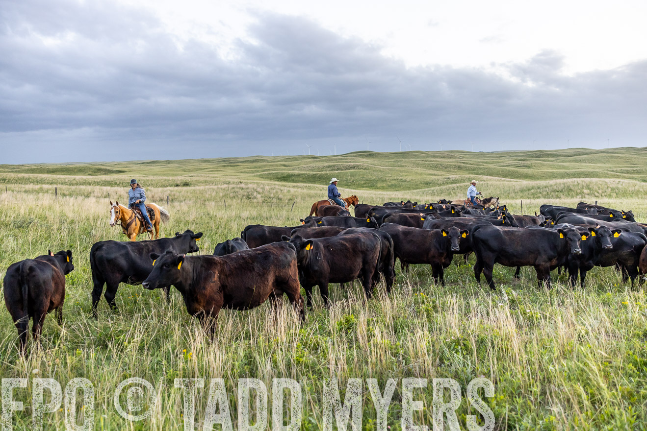 TMyers_PP_FinneyRanch_Nebraska_June2024-517197