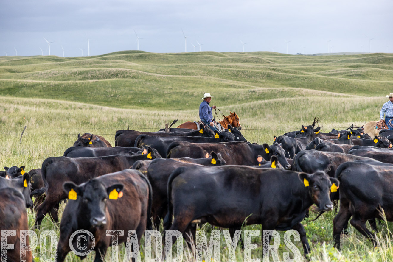 TMyers_PP_FinneyRanch_Nebraska_June2024-517207