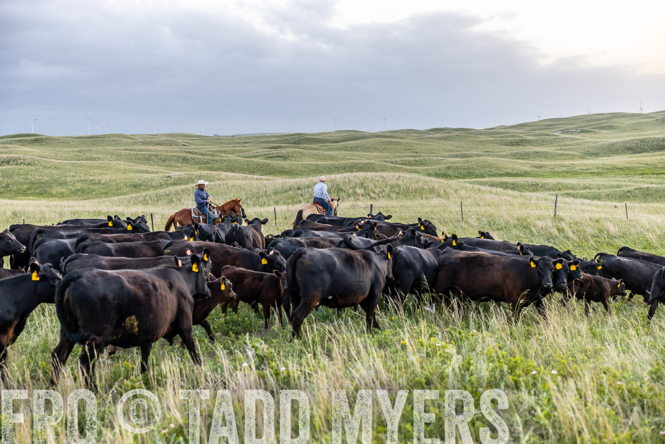 TMyers_PP_FinneyRanch_Nebraska_June2024-517224