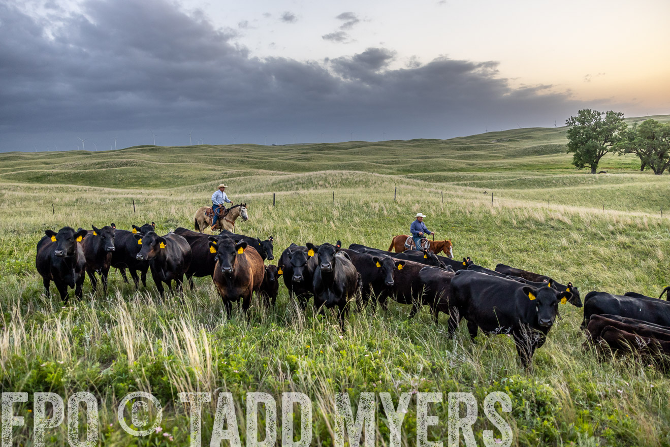 TMyers_PP_FinneyRanch_Nebraska_June2024-517279